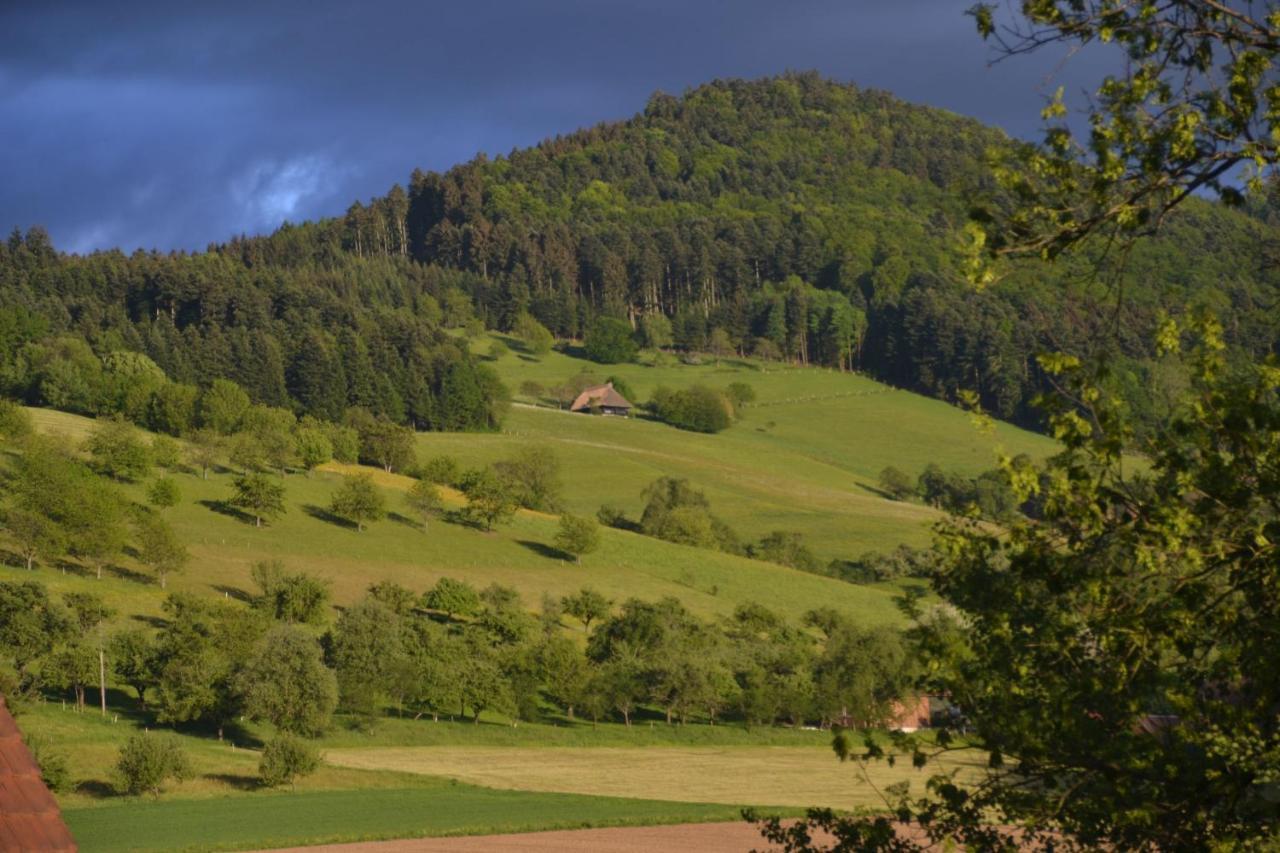 グロッタータールHaus Reichenbachアパートメント エクステリア 写真